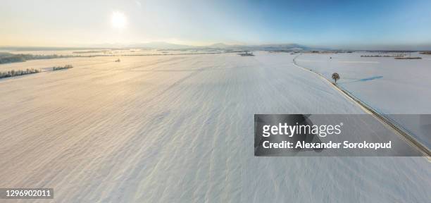 snow-covered hills of alsace, vineyards and the foothills of the vosges. a rare case - a lot of snow fell in france. panoramic view. - pré vu du ciel photos et images de collection