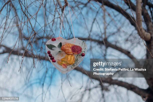 iced frozen suncatcher hanging on a branch of a tree - cranberry heart stock pictures, royalty-free photos & images