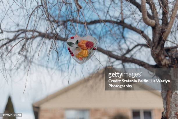 iced frozen suncatcher hanging on a branch of a tree - cranberry heart stock-fotos und bilder