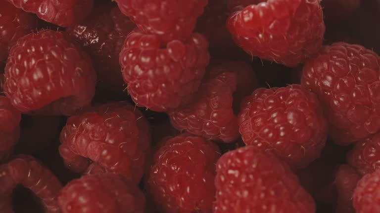 18 Raspberries Raspberries Videos and HD Footage - Getty Images