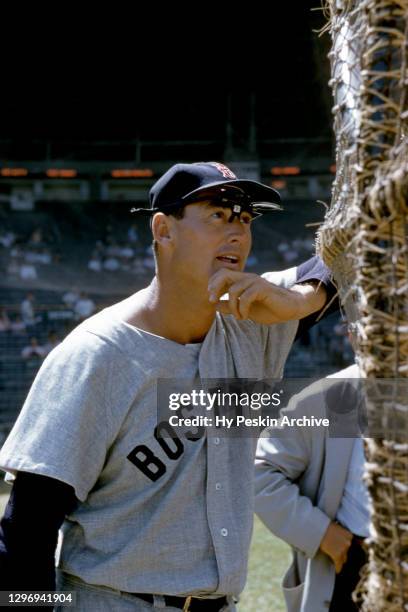 Ted Williams of the Boston Red Sox watches batting practice before an MLB Spring Training against the Brooklyn Dodgers on March 18, 1956 in Vero...