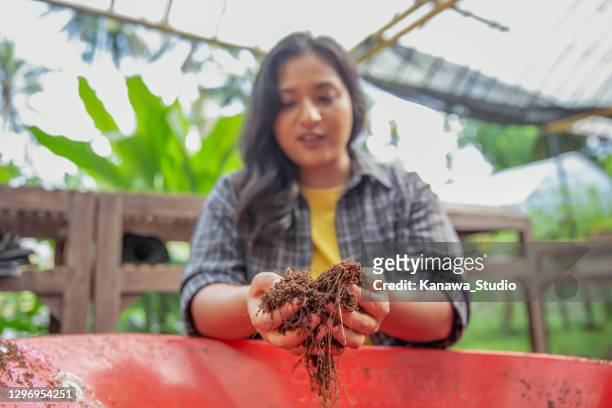 asian woman holding a fresh soil in the palms of her hands - topsoil stock pictures, royalty-free photos & images