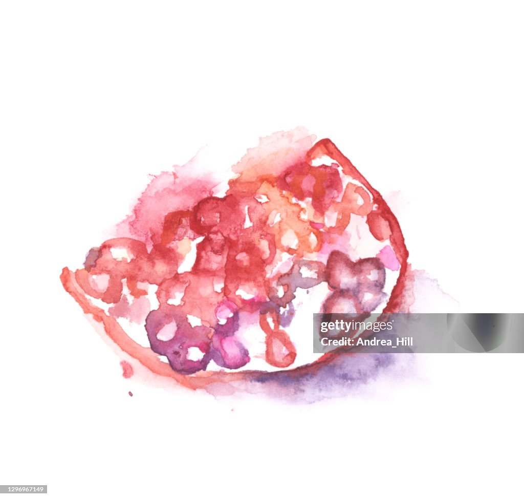 Piece of a Pomegranate Fruit Painted in Watercolor. Raster Illustration