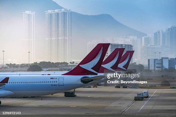 cathay dragon magenta schwänze im nstrichenen hong kong morgen - flugzeugheck stock-fotos und bilder