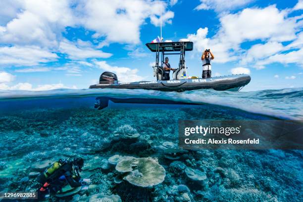 Diver from the Mayotte Marine Natural Park carry out a survey on the reef, called REEFCHECK, on November 27 Mayotte, Comoros archipelago, Indian...