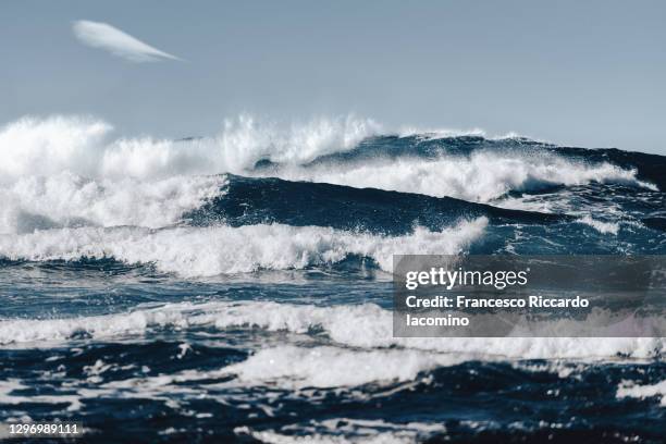 waves and rough blue ocean sea, fuerteventura - francesco riccardo iacomino spain 個照片及圖片檔