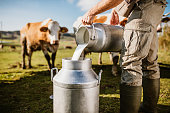 Farmer pouring raw milk into container