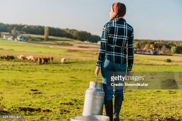 young woman on meadow holding milk canister - female animal stock pictures, royalty-free photos & images