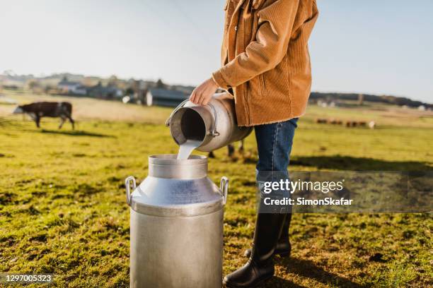 agricultrice versant le lait cru dans le récipient - champs et lait photos et images de collection