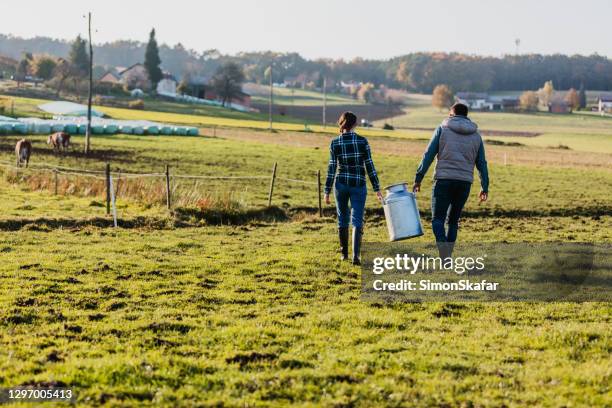 couple of young farmers holding milk canister. love on dairy farm - milk canister stock pictures, royalty-free photos & images