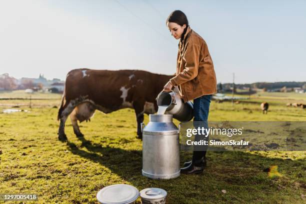 fermier sur le p�âturage versant le lait cru dans le récipient - bidon de lait photos et images de collection