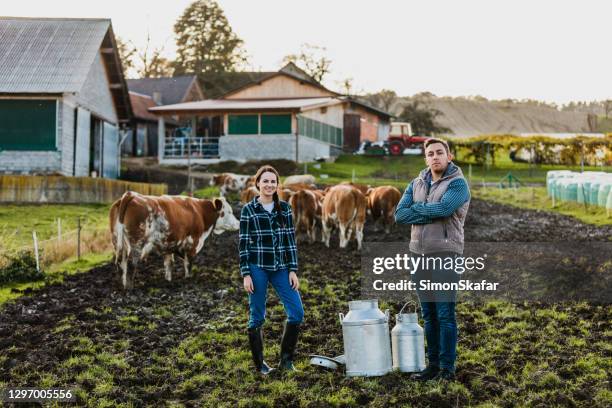jeunes fermiers avec des vaches laitières - fermier lait photos et images de collection