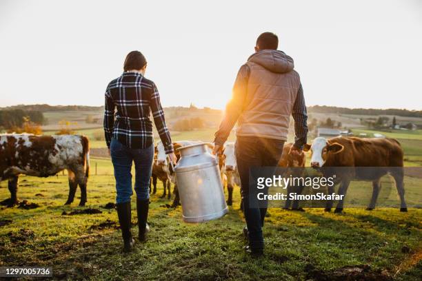 giovani abitanti di coppia con lattine di latte - fattoria foto e immagini stock