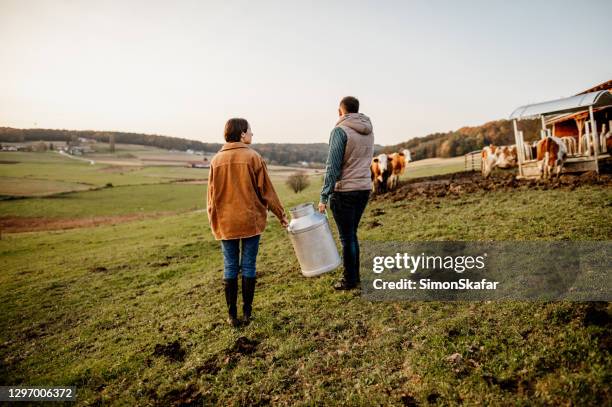 young farmers with cattle - milk canister stock pictures, royalty-free photos & images