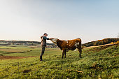 Young man standing stroking cow