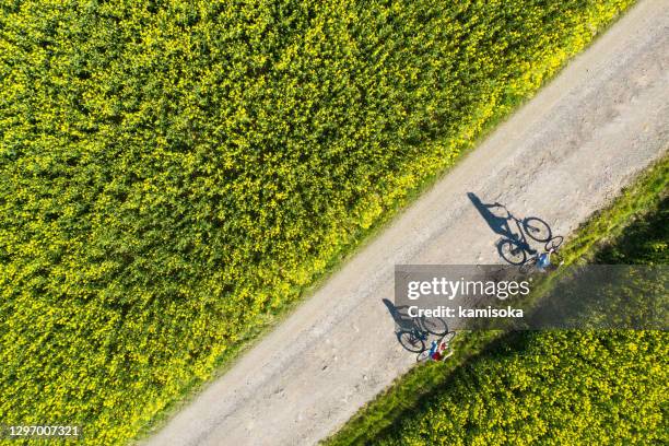 flygfoto över cykelskuggor på den tomma asfaltvägen mellan rapsfältet - cycling drone bildbanksfoton och bilder