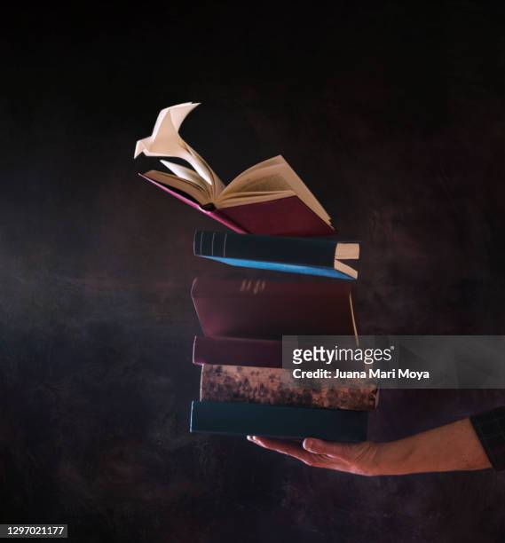 hand holds a stack of books, they are slowly rising to become a paper bow tie - flying reading stock-fotos und bilder
