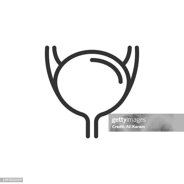 bladder line icon - urology stock illustrations