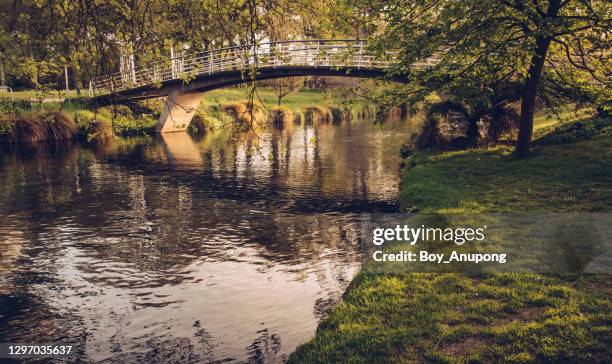 beautiful landscape of avon river flows through botanic garden of christchurch, new zealand. - avon river photos et images de collection