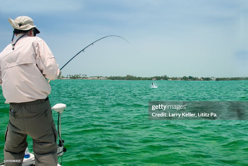 Florida fisherman fighting a big Tarpon on a fly rod
