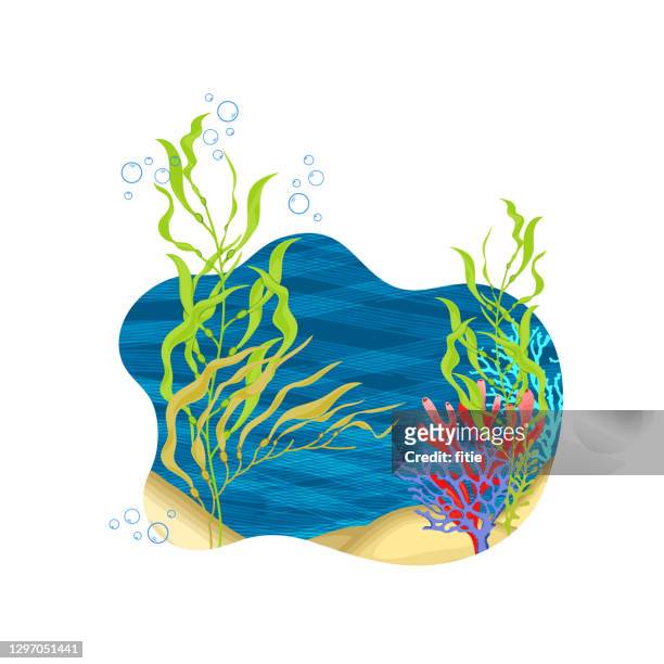 vector illustration of an undersea landscape,set of kelps and some colorful corals. - aquatic organism stock illustrations