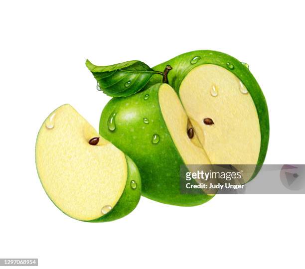ilustraciones, imágenes clip art, dibujos animados e iconos de stock de apple green & slice - manzana verde