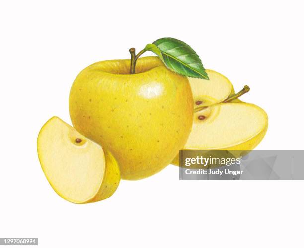 apples yellow - golden delicious apple stock illustrations