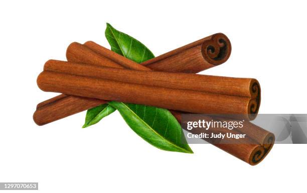 cinnamon group b - stick plant part stock illustrations