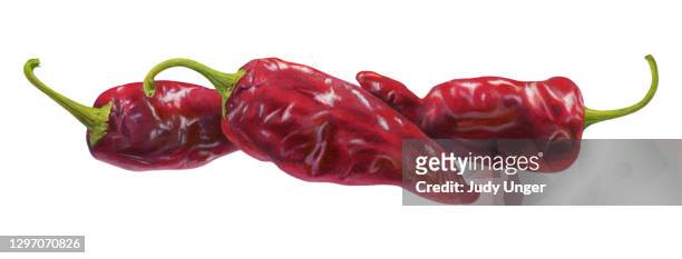 chipotle peppers - red chili pepper stock illustrations