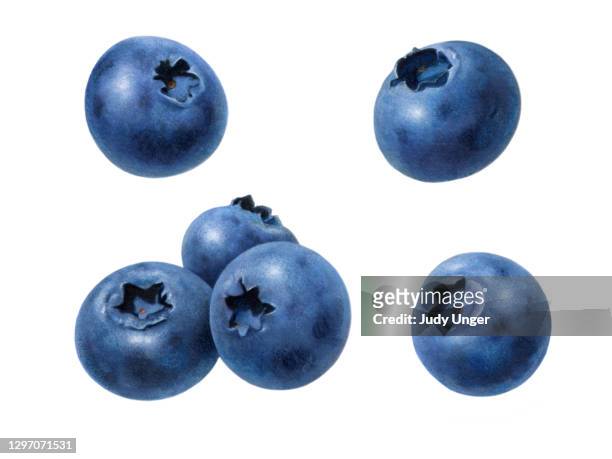 stockillustraties, clipart, cartoons en iconen met bosbessen gescheiden - blueberry