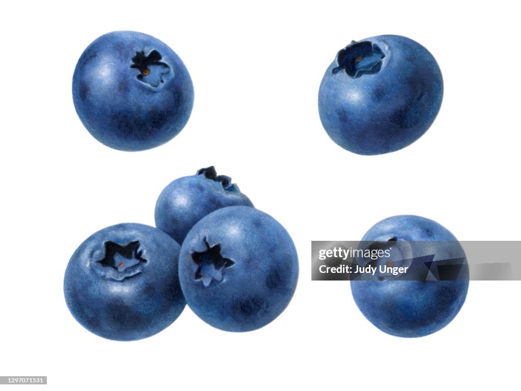 Blueberries Separate