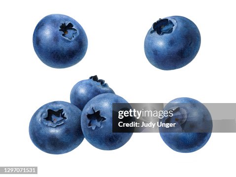 Blueberries Separate Blueberries Separate