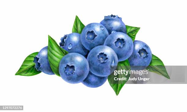 stockillustraties, clipart, cartoons en iconen met bosbessengroep - blauwe bosbes