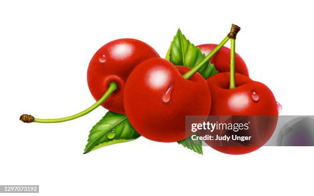 cherries red - cherry isolated stock illustrations