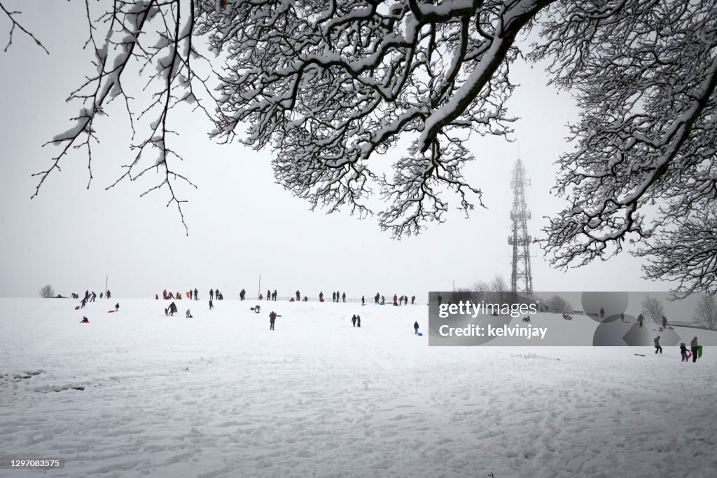 People enjoying a snow day in the local park