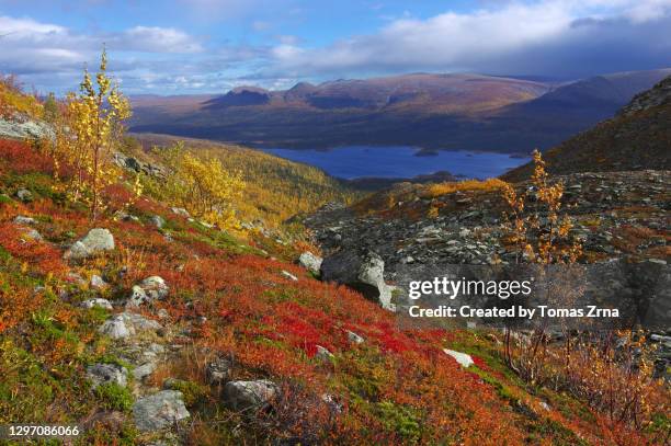 magical autumn moments on kungsleden trail below below favnoajvve mountain - swedish lapland bildbanksfoton och bilder