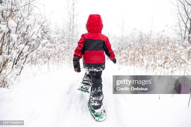 little boy snowshoeing outdoors in winter during snowstorm - snowshoe stock pictures, royalty-free photos & images