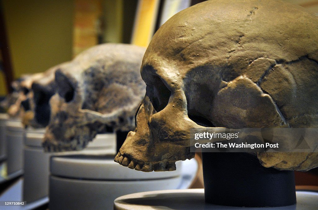 The Smithsonian Museum of Natural History is about to open its' new Hall of Human Origins.