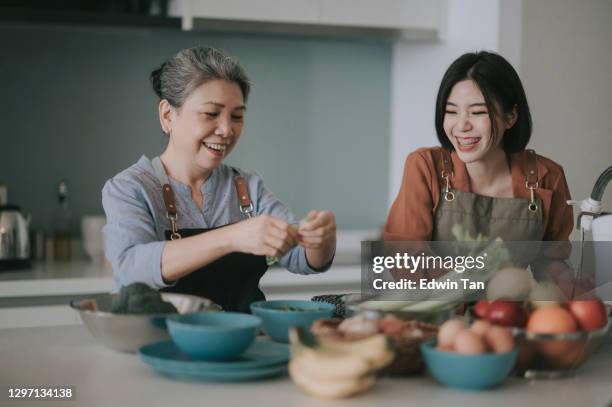 asian chinese beautiful woman and her mother getting ready cooking meals for family at kitchen counter - mother daughter cooking stock pictures, royalty-free photos & images