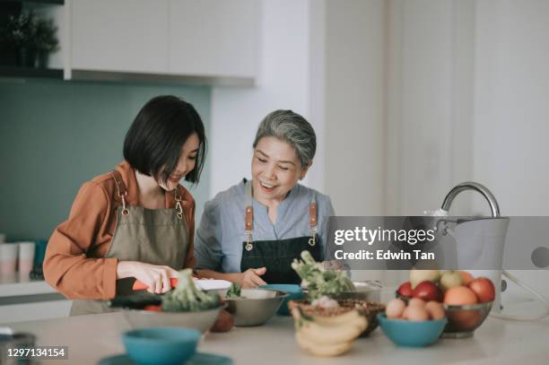 asian chinese beautiful woman and her mother getting ready cooking meals for family at kitchen counter - asian mom cooking stock pictures, royalty-free photos & images