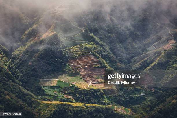 tea plantation taiwan nantou highlands mountain terraced field - taroko gorge national park stock pictures, royalty-free photos & images