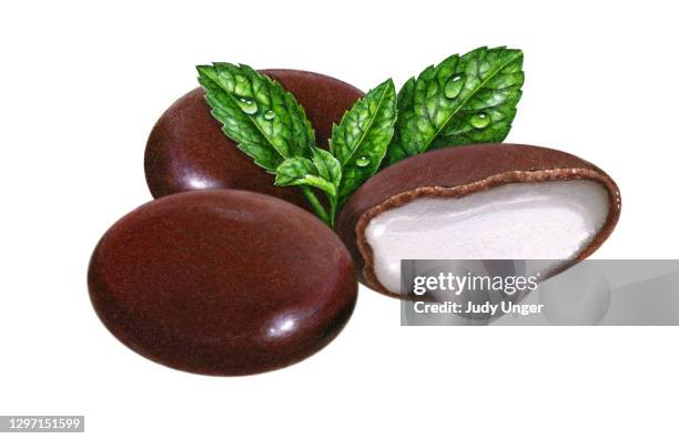 creme de menthe - realismus stock-grafiken, -clipart, -cartoons und -symbole