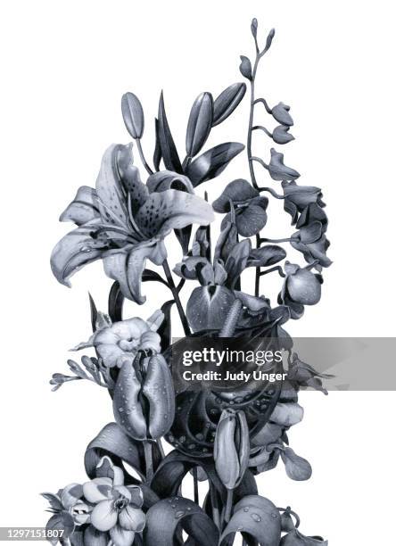 flower medley in black and white - photo realism stock illustrations