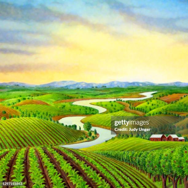 farm landscape and sunrise - orchard stock illustrations