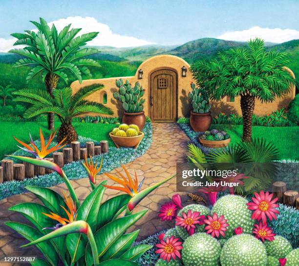 illustrations, cliparts, dessins animés et icônes de jardin avec cactus et paume - cactus watercolor