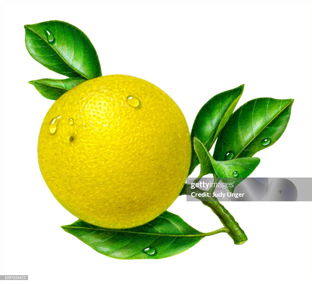 Pamplemousse jaune - Entier avec des lames