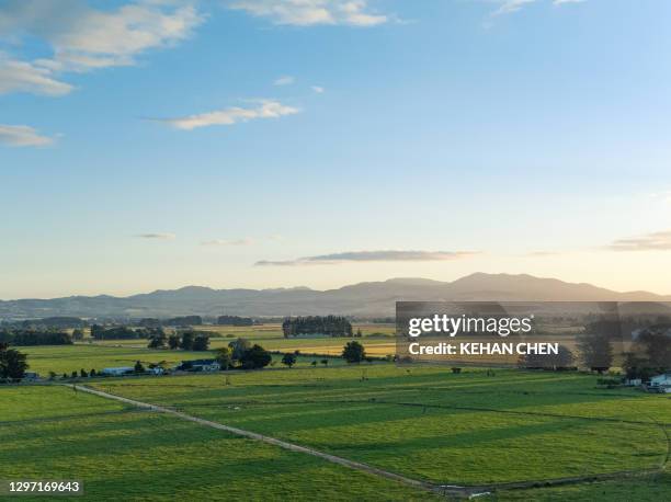 new zealand sunset natural landscape view with wine field - new zealand rural stockfoto's en -beelden