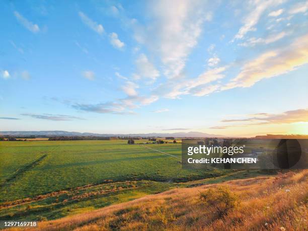 new zealand sunset natural landscape view with wine field - new zealand rural stockfoto's en -beelden