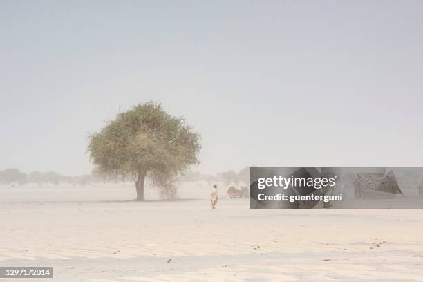 donna fula nell'insediamento durante la tempesta di sabbia, regione del sahel, ciad - savana foto e immagini stock