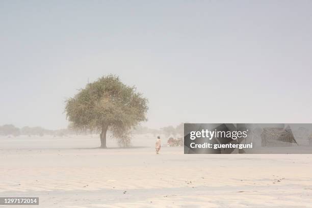donna fula nell'insediamento durante la tempesta di sabbia, regione del sahel, ciad - sahel foto e immagini stock